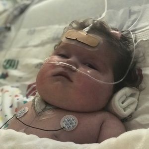 Meet your Posher, Sam